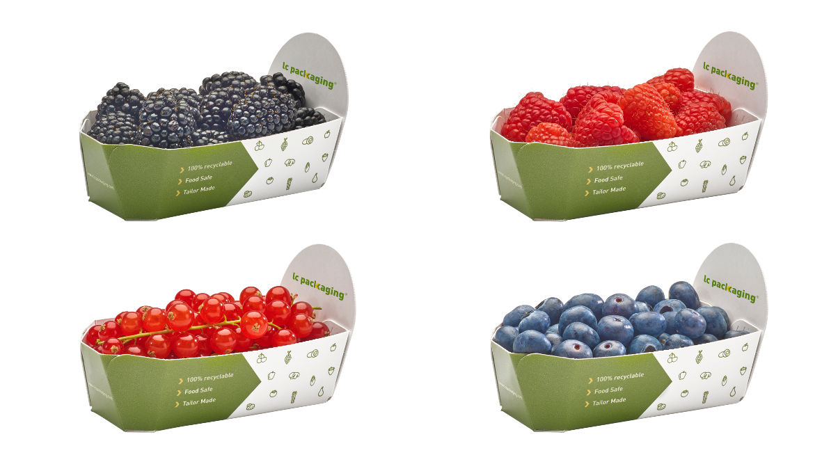 125 g berries punnets_white.png
