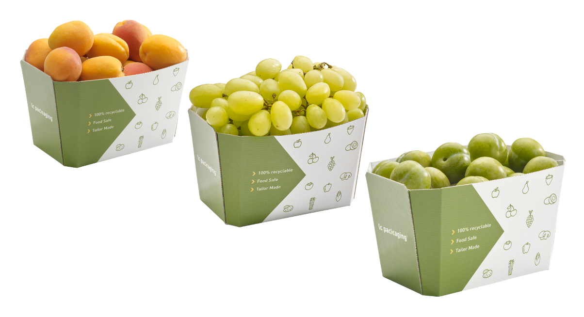 1 kg punnet apricots grapes plums_white.png