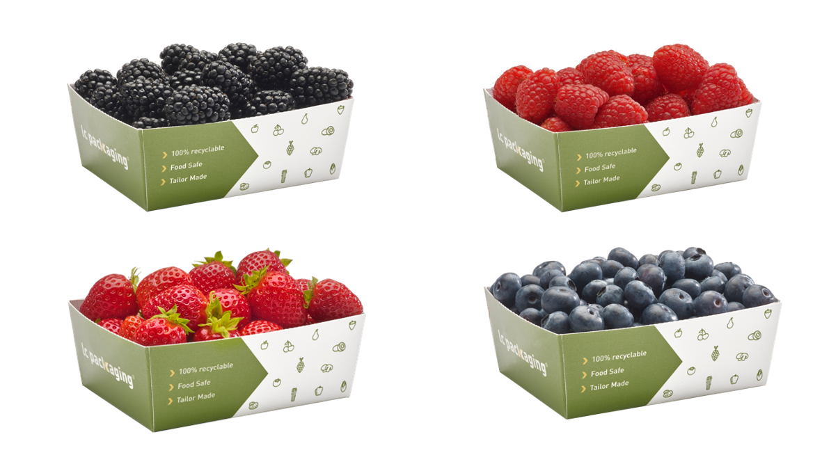 250 G berries punnets_white.png