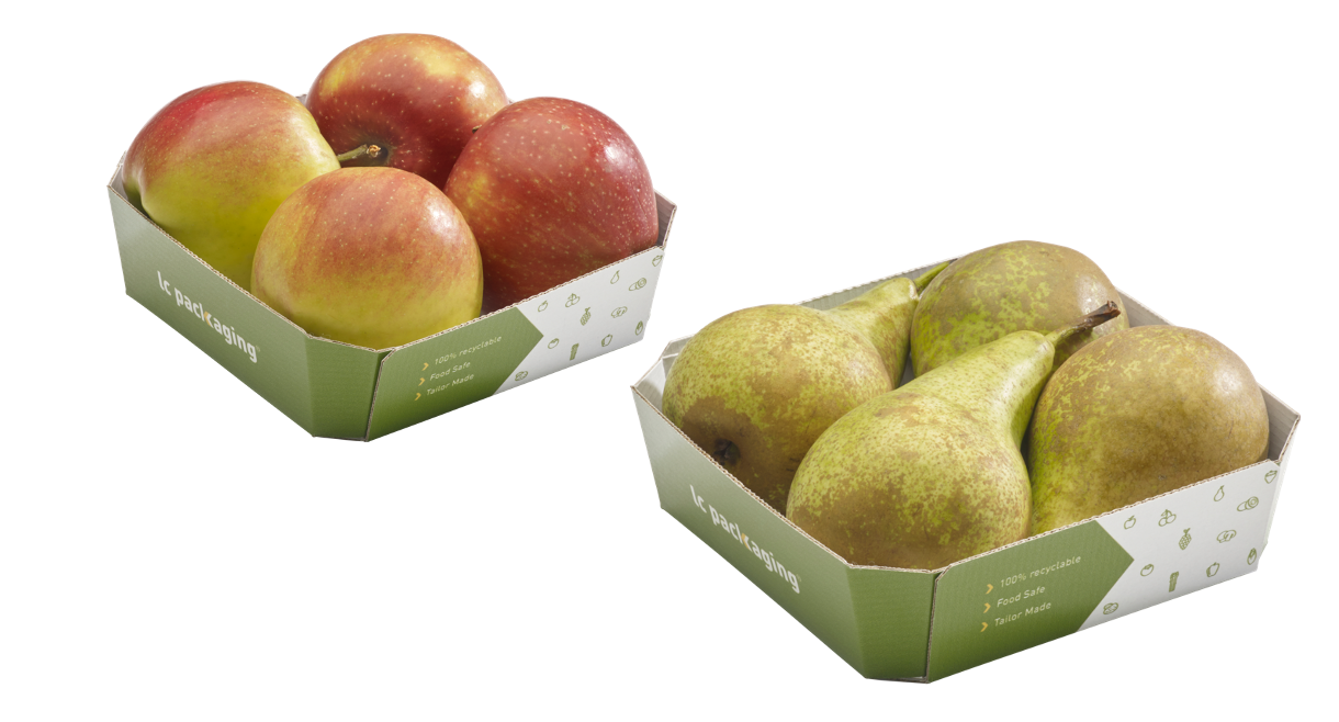 4 apples 4 pears_white.png