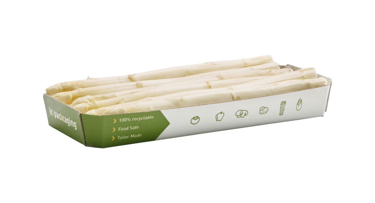 asparagus white_white_2.png