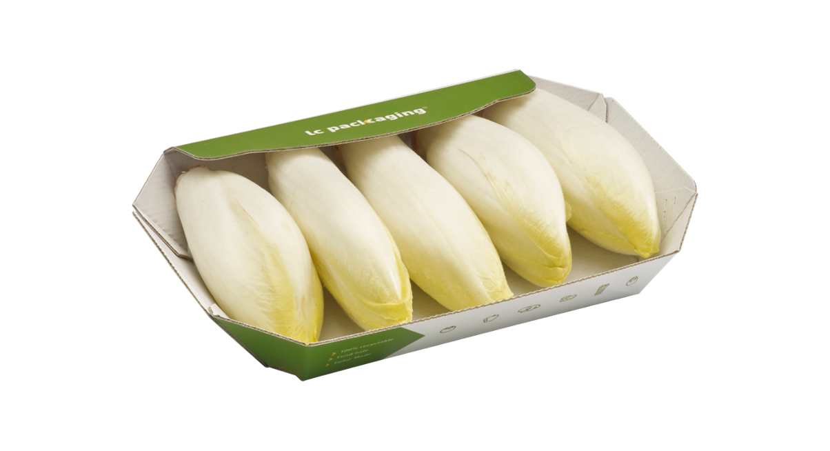 chicory mini_white.png